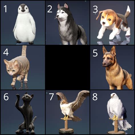 Black Desert Pets .